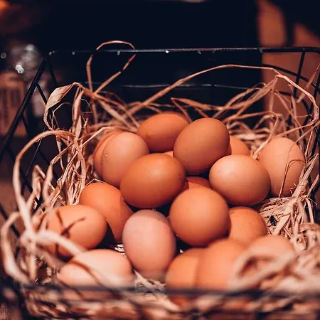 Hotel Radisson Blu Aleksanteri Hotel, Helsinki