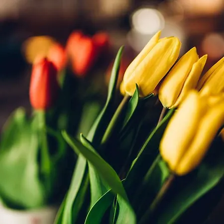 Radisson Blu Aleksanteri Hotel, Hotel