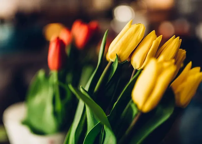 Radisson Blu Aleksanteri Hotel, Hotel